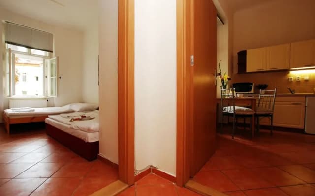 Cimburkova Apartments - photo 4