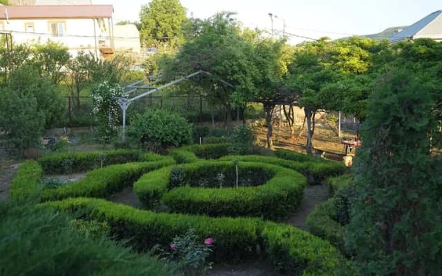 Oasis - photo 2