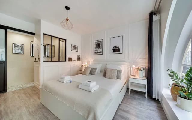 Amazing Historical Parisien Apartment Next TO Louvre Area ! - 1 - photo 2