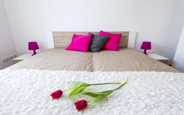 Grand Budapest Apartments - photo 4