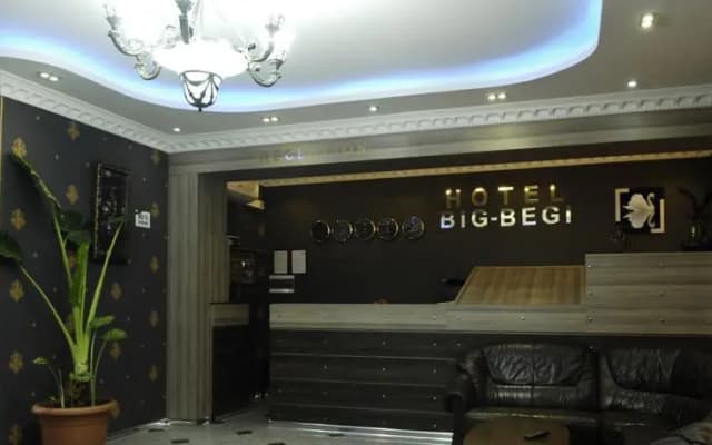 Hotel Big Begi - photo 2