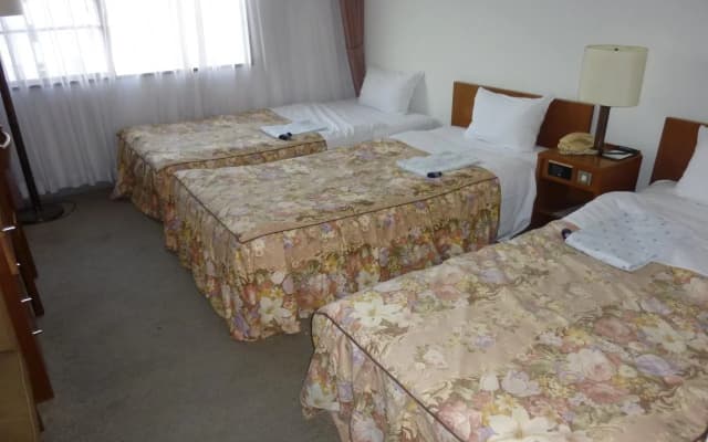 Kyoto Rich Hotel - photo 5