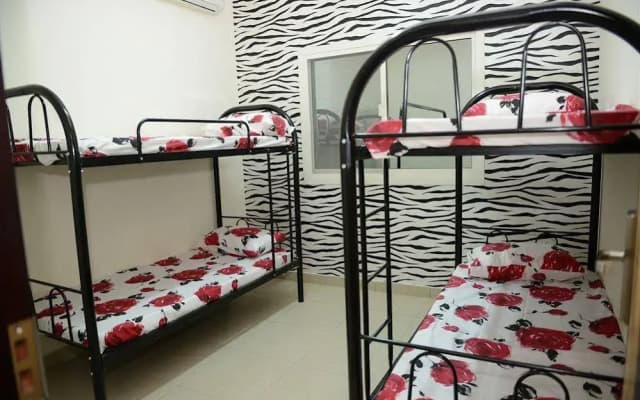 Camel Campus - photo 3