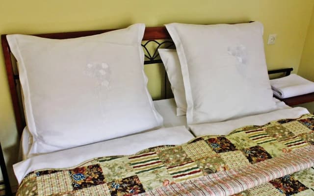 Red Fox Guesthouse - photo 2