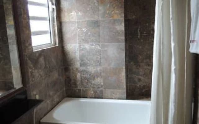 Satel Hotel - photo 4