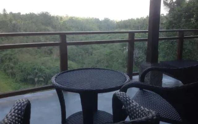 Bali Ubud Villa View - photo 5