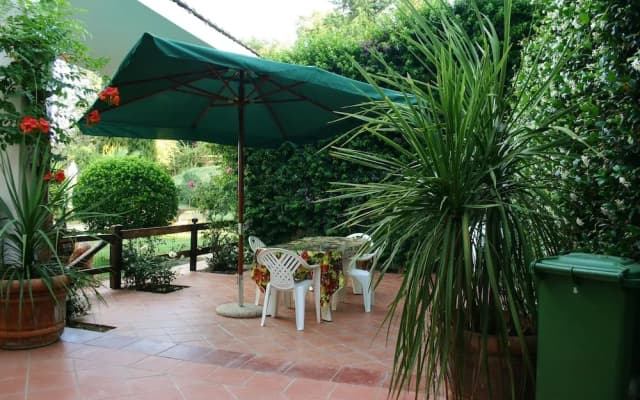 Green Oasis B&B - photo 3
