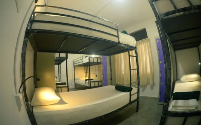 Groove House - photo 5