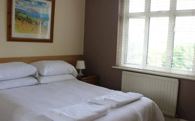 Willow Guest House - photo 2