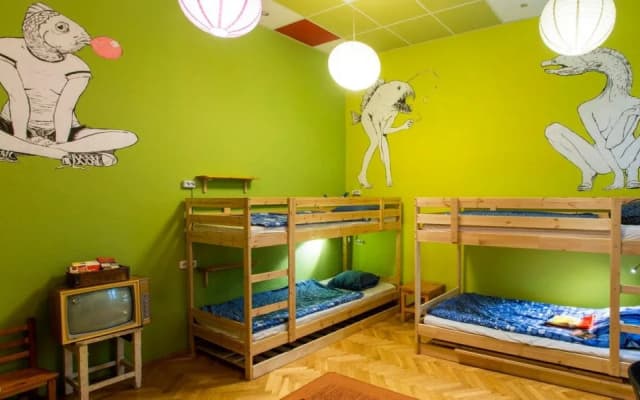 Big Fish Hostel - photo 3