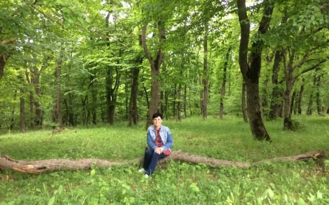 muxebshi - photo 5