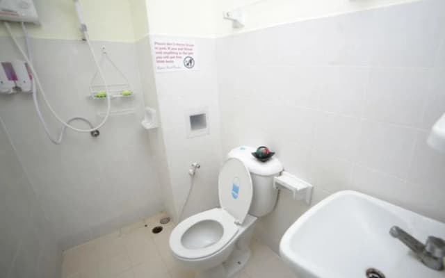 Rayaan Oriental Guest House & Restaurant - photo 5