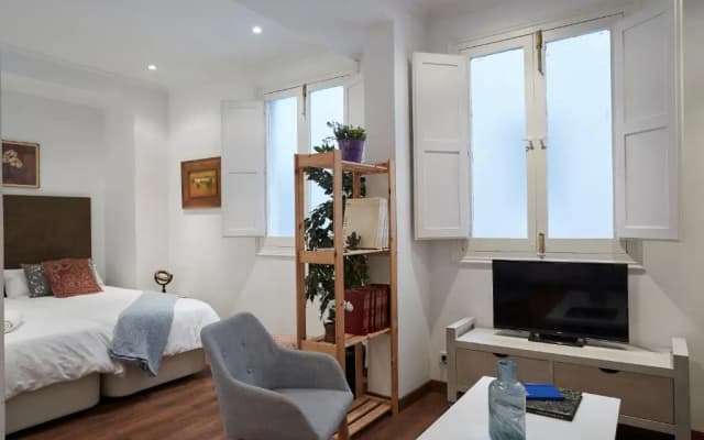 LEEWAYS APARTMENT IV in ALCALÁ 99 - photo 3