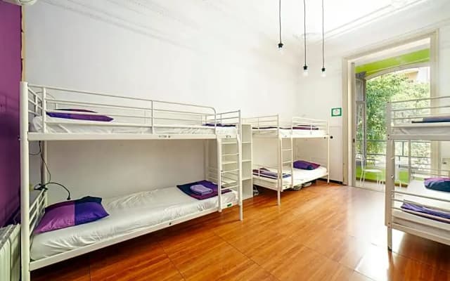 Fabrizzios Terrace Hostel - photo 5