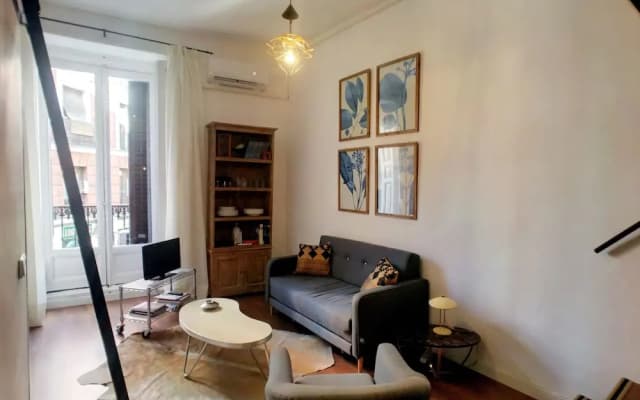 Apartamentos MLR Lavapiés - photo 4