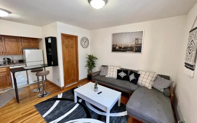 Entire Apartment near Times Square - photo 2