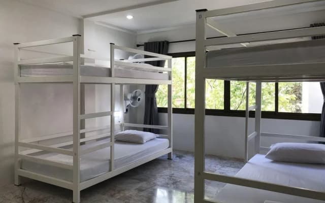 Coasters Hostel and Cafe - photo 2