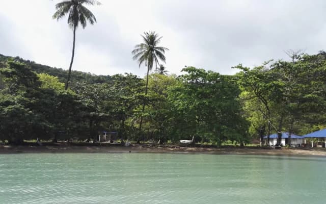 Tropical Eco Camping - photo 5
