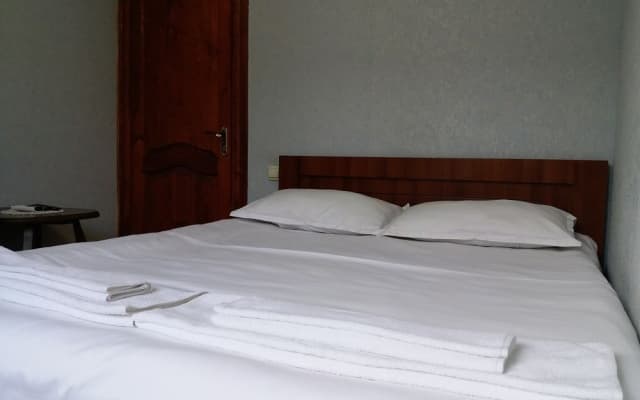 Villa Vera Mini Hotel - photo 2