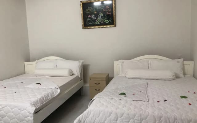 Duc Linh Hotel - photo 5