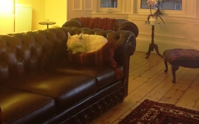 Glendevon Central Bed and Breakfast - photo 4