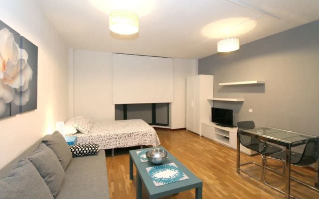 Apartamentos Castilla Luz 2 - photo 3