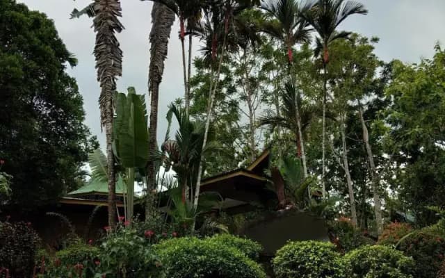 Sepilok Jungle Resort - photo 4