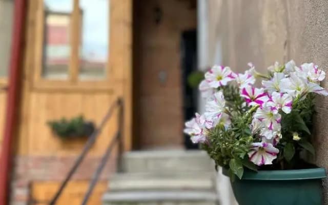 Salalak - photo 2