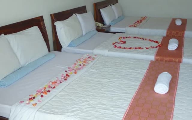 Bien Viet Hotel - photo 4