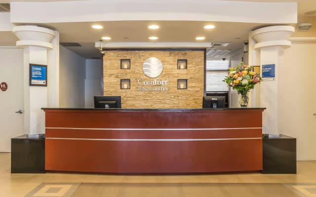 Comfort Inn & Suites LaGuardia Airport - photo 2