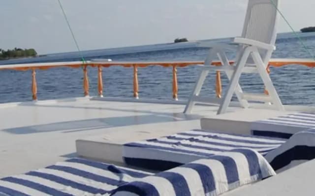 Flying Fish - photo 2