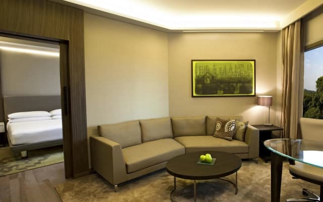 Hyatt Regency Delhi - photo 5