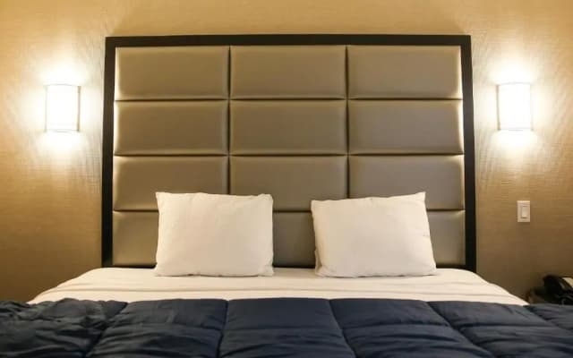 Vybe Hotel - photo 2