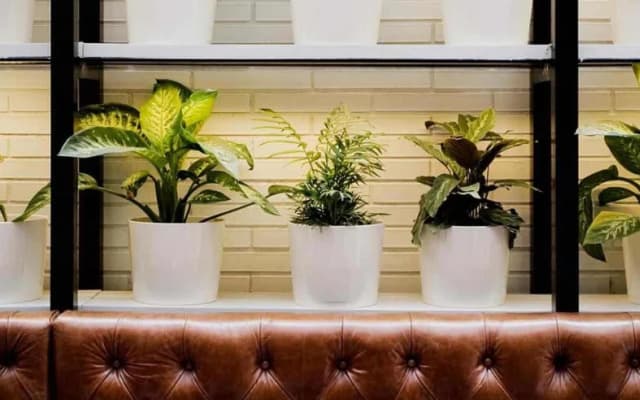 Hotel Praktik Bakery - photo 2