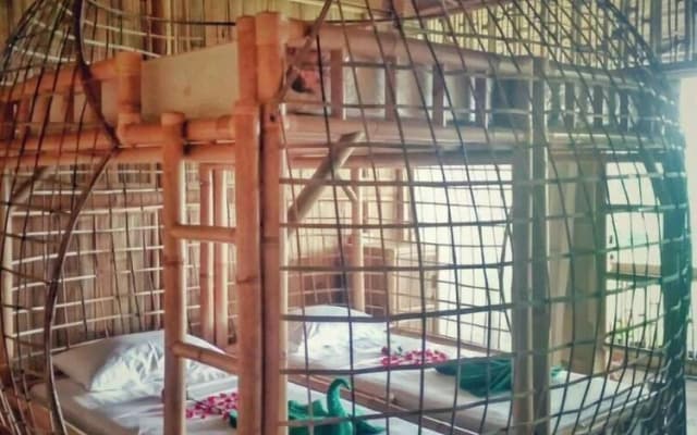 Luxury Bamboo Hostel - photo 3