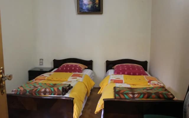 Old District Guest House - photo 2