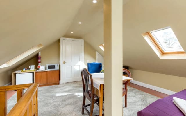 Silver Lining - Mile Apartments - photo 4