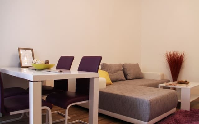 Vienna Star Apartments Johnstrasse 43 - photo 2