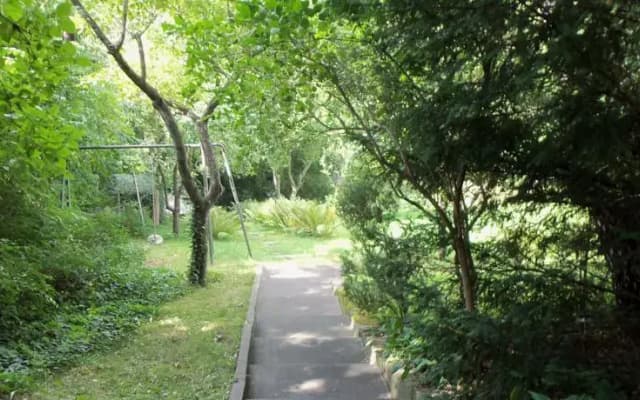 Appartments Berlin Wilmersdorf - photo 3