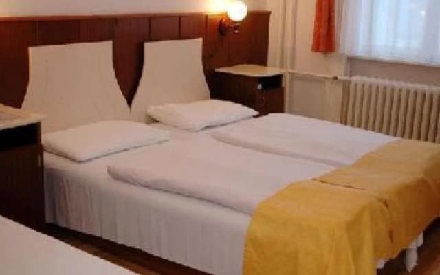 Inn Side Hotel Delibab - photo 3