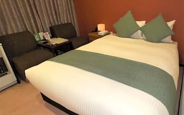 Roppongi Plaza Hotel - photo 2