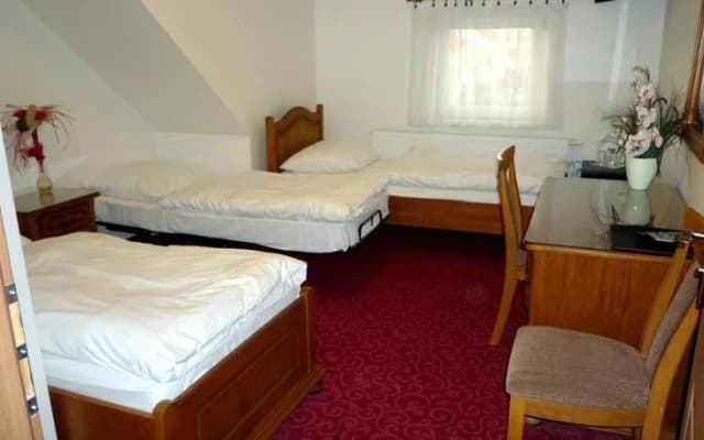 Golden Golem Hotel - photo 5