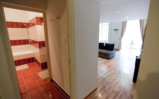 Kiraly Apartment - photo 4