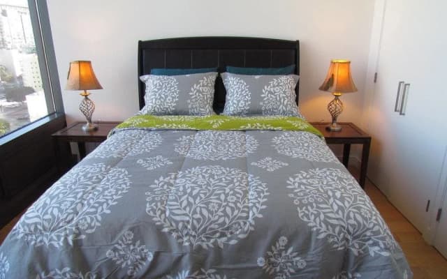 Luxury Place in Downtown - photo 5