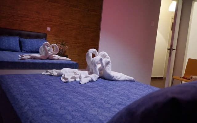Orpheus Hotel - photo 5