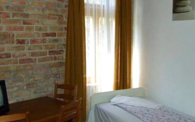 Hungaria Guesthouse - photo 4