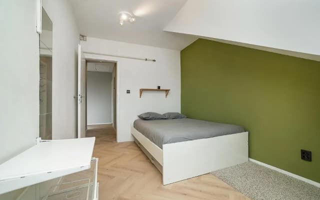 Big 4-bedroom flat, terrace with great Vítkov view - photo 5