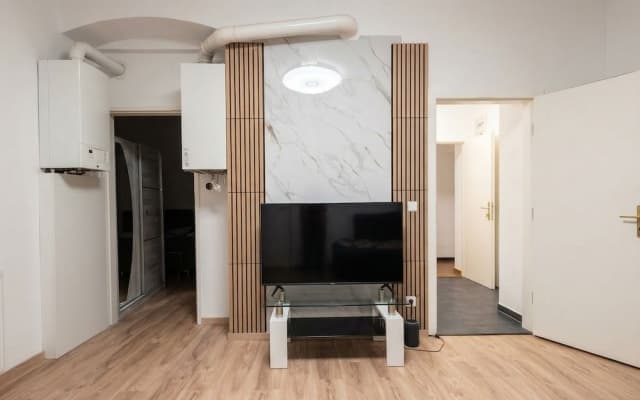 Cozy 1BR Apt with Lounge Central Vienna - photo 5