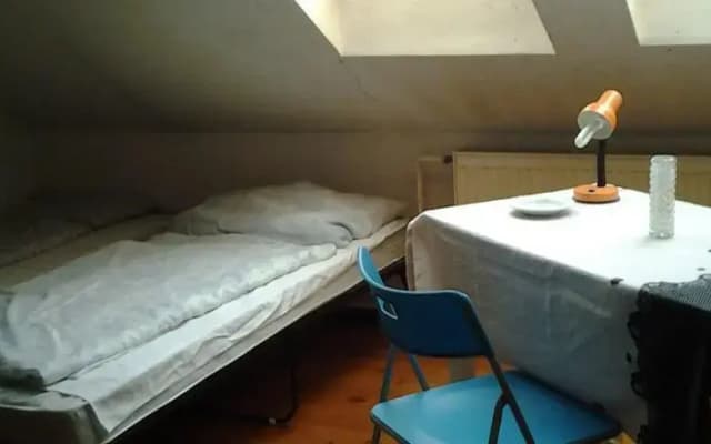 Apricot Hostel - photo 5