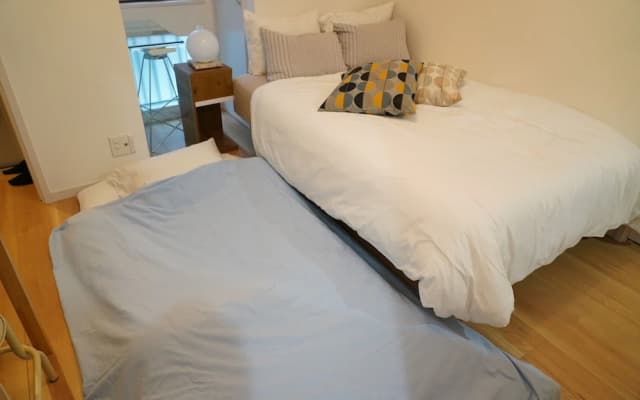 Akasaka Compact Hotel - photo 5